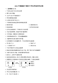 福建省宁德市中考模拟2021化学试题