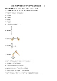 湖南省衡阳市中考一模2021化学试题