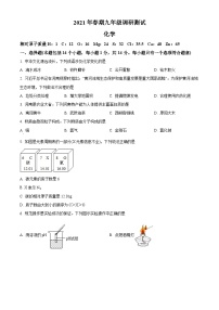 河南省南阳市镇平县中考二模2021化学试题