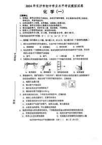 2024年湖南省长沙市初中学业水平考试模拟化学试卷（一）