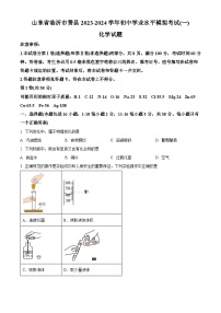 2024年山东省临沂市费县初中学业水平模拟化学试题（一）（原卷版+解析版）