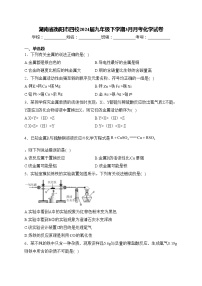 湖南省衡阳市四校2024届九年级下学期3月月考化学试卷(含答案)