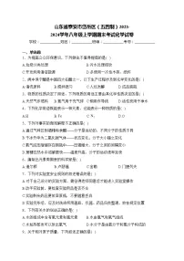 山东省泰安市岱岳区（五四制）2023-2024学年八年级上学期期末考试化学试卷(含答案)