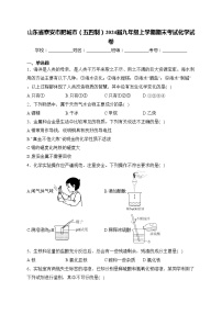 山东省泰安市肥城市（五四制）2024届九年级上学期期末考试化学试卷(含答案)