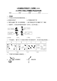 山东省烟台市招远市（五四制）2023-2024学年八年级上学期期末考试化学试卷(含答案)