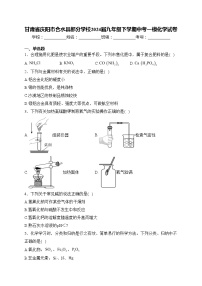 甘肃省庆阳市合水县部分学校2024届九年级下学期中考一模化学试卷(含答案)