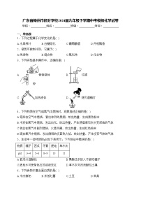 广东省梅州市部分学校2024届九年级下学期中考模拟化学试卷(含答案)