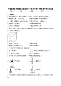 湖北省黄石市阳新县城区四校2024届九年级下学期3月月考化学试卷(含答案)