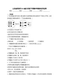 山东省菏泽市2024届九年级下学期中考模拟化学试卷(含答案)