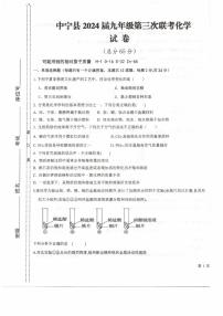 2024年宁夏中卫市中宁县九年级第三次联考化学试卷