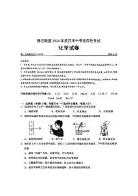 2024年湖北省武汉市腾云联盟中考适应性考试（二模）化学试题