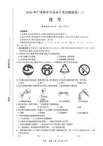 2024年广西壮族自治区河池市中考二模化学试题
