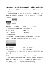 山西省大同市平城区两校联考2024届九年级上学期期末考试化学试卷(含答案)