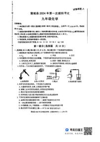 2024年陕西省渭南市蒲城县九年级第一次模拟考试化学试卷