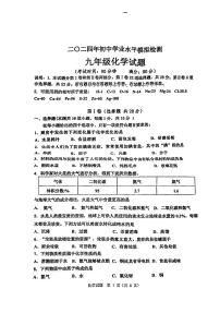 2024年山东省青岛市初中学业水平模拟检测化学试题