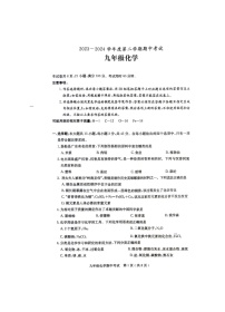 广东省茂名市电白区2023-2024学年九年级下学期期中考试化学试卷