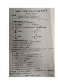 湖南省常德市桃源县片区联考2023-2024学年九年级下学期期中考试化学试题