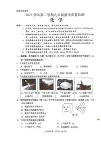 2024年广东省佛山市顺德区九年级中考一模化学试卷