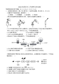 2024年湖北省武汉市中考适应性考试（武汉三调）化学试题及答案