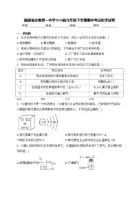 福建省永春第一中学2024届九年级下学期期中考试化学试卷(含答案)