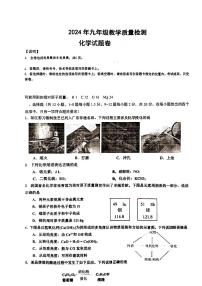 2024年广东省深圳市盐田区九年级教学质量检测一模化学试题