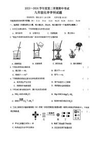 江苏省连云港市新海实验中学和外国语学校2023-2024学年九年级下学期期中化学试卷(