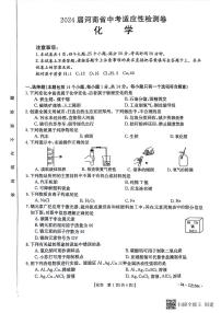 2024年河南省漯河市召陵区九年级中考一模化学试卷及答案