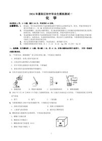 2024年广东省惠州市惠阳区中考一模化学试题