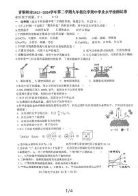 宁夏回族自治区吴忠市青铜峡市2023-2024学年九年级下学期4月期中化学试题