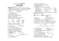 四川省宜宾市育才中学2023-2024学年九年级下学期期中检测化学试题