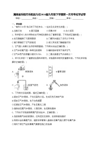 湖南省岳阳市岳阳县九校2024届九年级下学期第一次月考化学试卷(含答案)