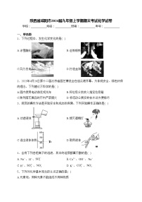 陕西省咸阳市2024届九年级上学期期末考试化学试卷(含答案)