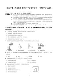 广东省惠州市惠阳区2024年4月初中学业水平一模化学试卷