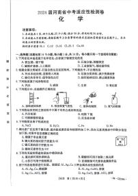 2024年漯河中考一模化学试卷及答案