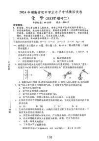 湖南省益阳市资阳区资阳区2023-2024学年九年级下学期4月期中化学试题