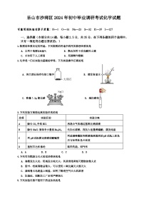 2024年四川省乐山市沙湾区中考一模化学试题