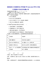 海南省海口市海南师范大学附属中学2023-2024学年九年级下学期期中考试化学试题B卷