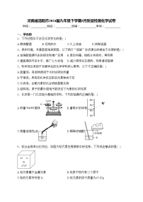 河南省洛阳市2024届九年级下学期3月质量检测化学试卷(含答案)