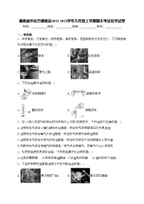 湖南省怀化市通道县2022-2023学年九年级上学期期末考试化学试卷(含答案)