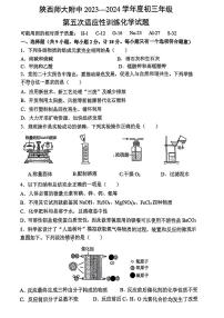 2024年陕西省西安市陕西师范大学附属中学中考五模化学试卷