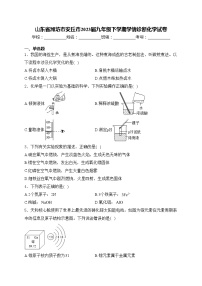 山东省潍坊市安丘市2023届九年级下学期学情诊断化学试卷(含答案)