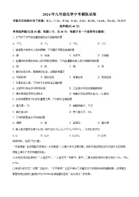 +2024年江苏省扬州市宝应县九年级化学模拟试题++