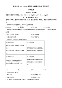 福建省福州第八中学2023-2024学年九年级下学期4月期中化学试题（原卷版+解析版）
