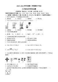 江苏省连云港市新海实验中学和外国语学校2023-2024学年九年级下学期期中化学试卷((无答案)