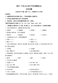 2024年重庆市第一中学中考全真模拟（五）化学试卷（原卷版+解析版）