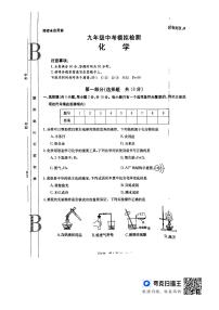 2024年陕西省延安市初中学业水平考试中考模拟检测化学试卷（PDF版含答案）
