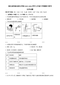 湖北省黄石市阳新县部分学校2023-2024学年九年级下学期期中联考化学试题（原卷版+解析版）