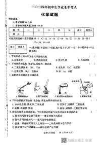 2024年黑龙江省虎林市实验学校中考化学二模试卷