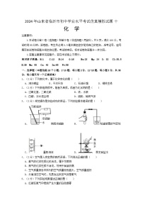 2024年山东省临沂市初中学业水平考试仿真模拟化学试题十