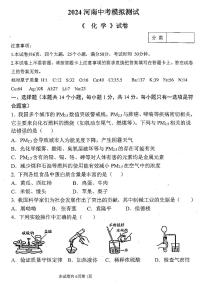 2024年河南省新乡市河师大附中九年级中考二模化学试题及参考答案